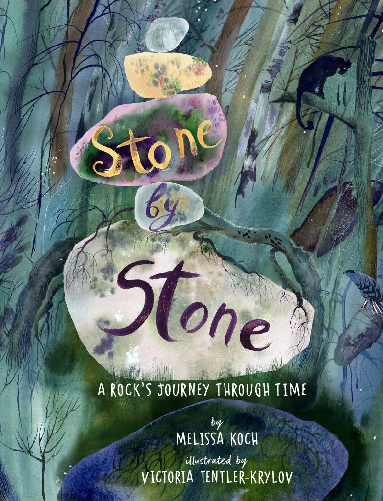 Stone by Stone: A Rock's Journey Through Time
